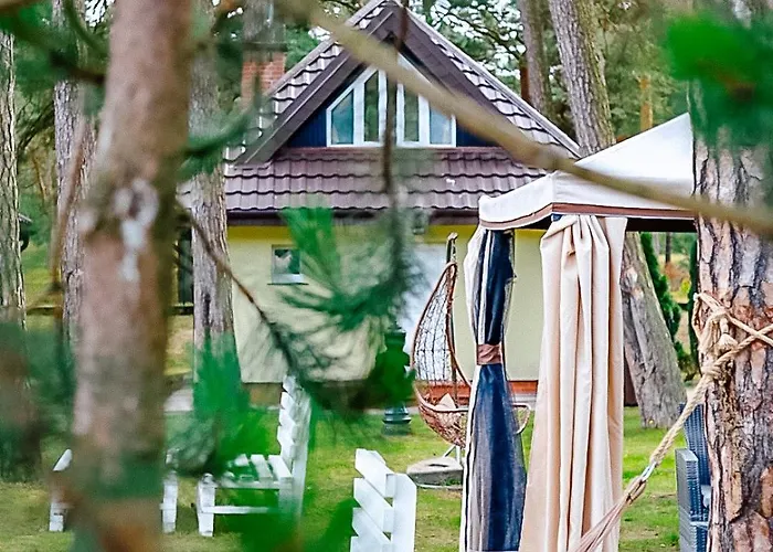Resort Forest Family